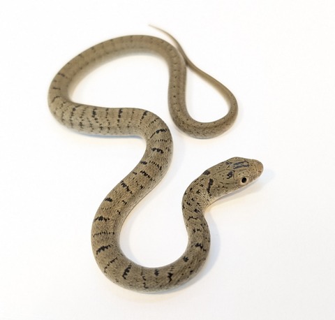 PXL_20251027_103923364~2