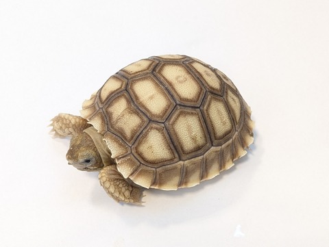 PXL_20250502_104551558~2