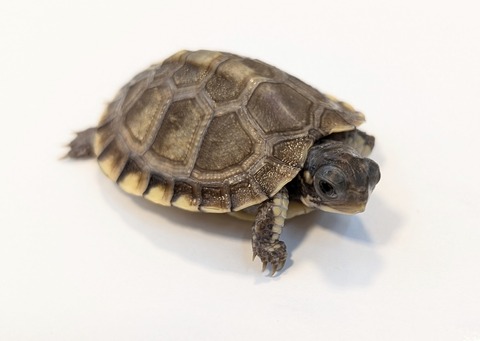 PXL_20251103_101104707~2