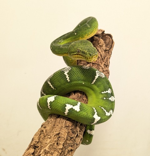 PXL_20260212_084047179~2