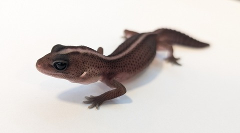 PXL_20250919_115510690~2