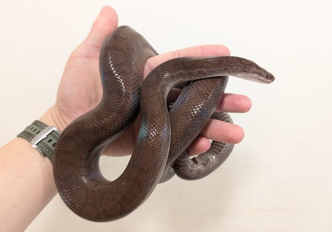 PXL_20250919_072234701~2