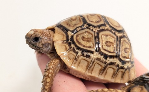 PXL_20260204_093450863