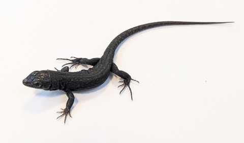 PXL_20250906_102020809~2