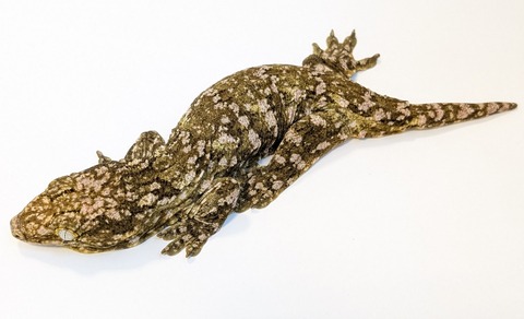 PXL_20250501_083439758~2