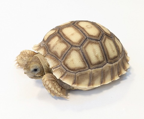 PXL_20250502_104548536~2