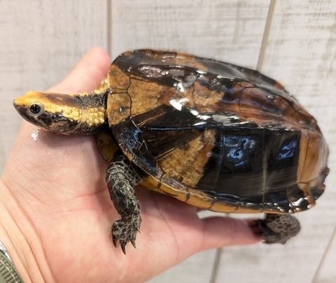 PXL_20250502_110122276~2