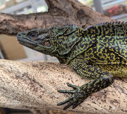 PXL_20250601_074815156~2