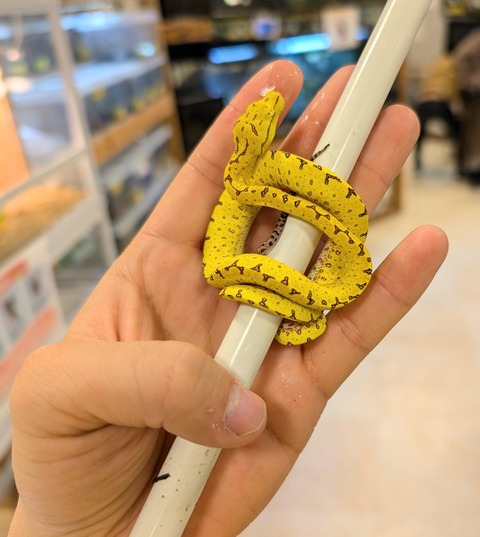 PXL_20241224_111532570~2