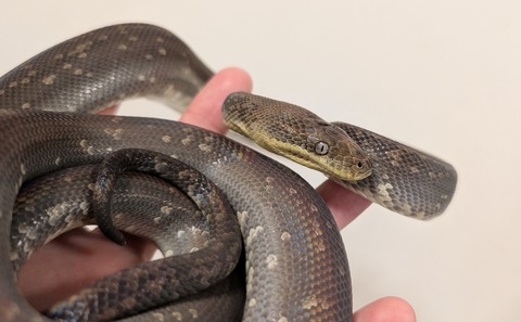 PXL_20260125_094903331~3