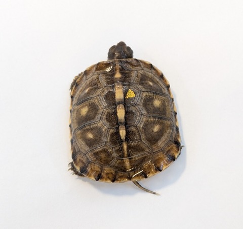 PXL_20251103_100613738~2