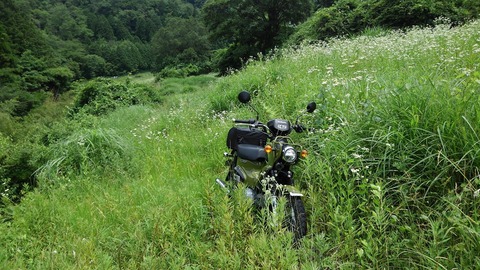 080096f7.jpg