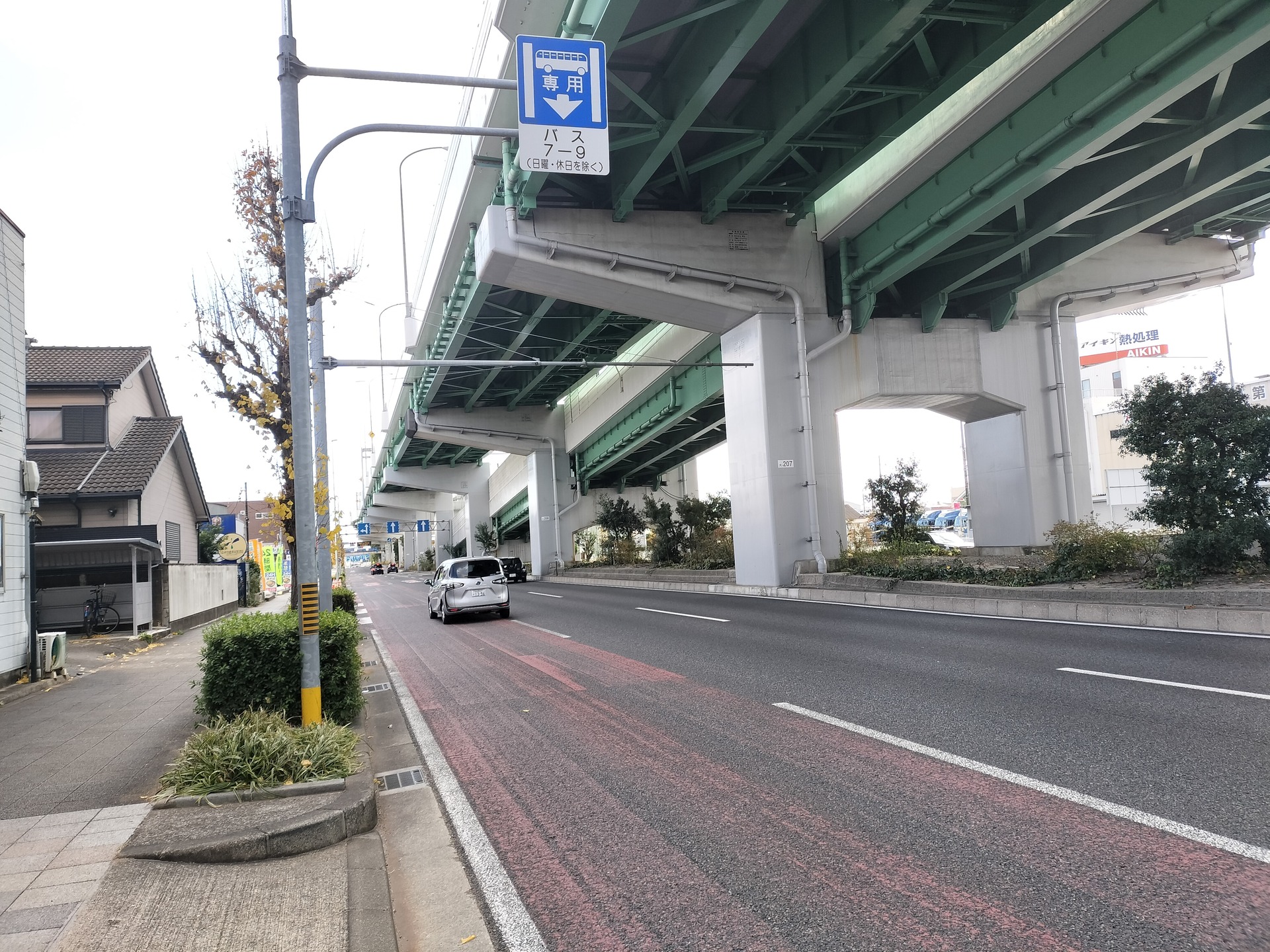 IMG20241228133235