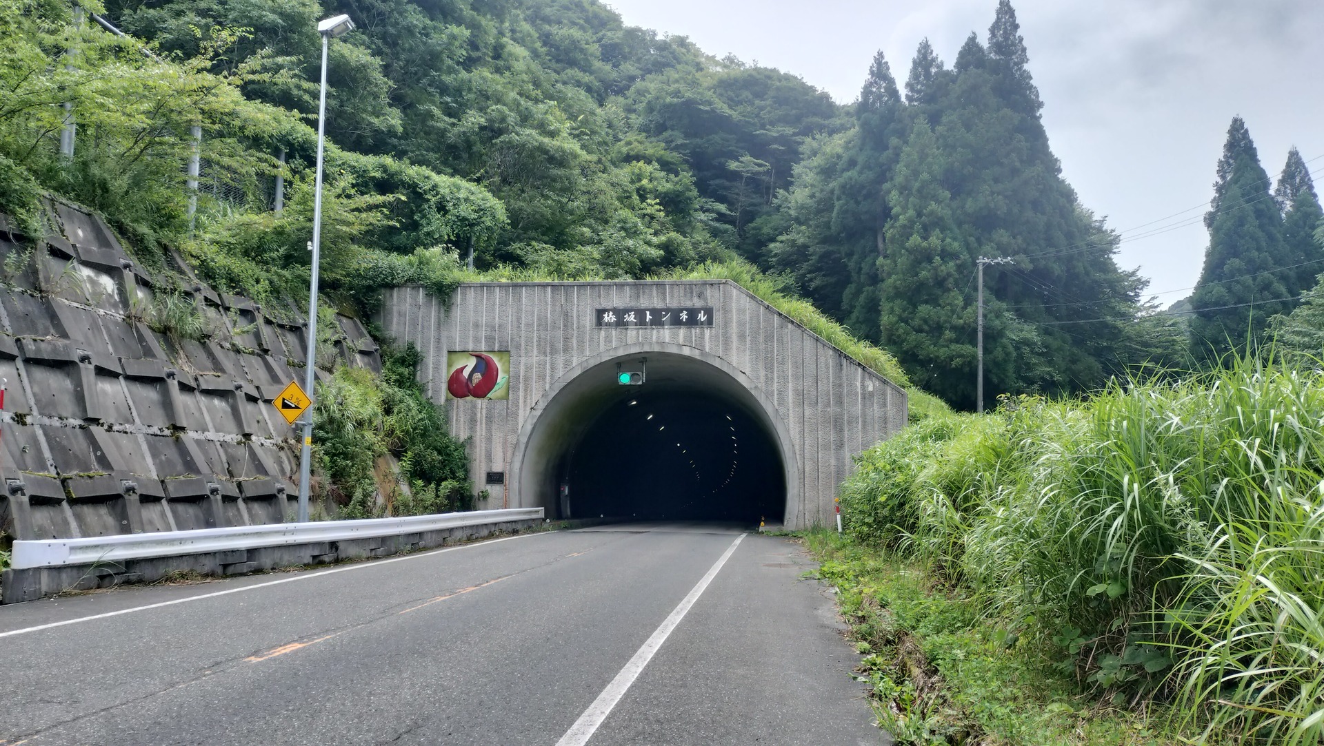 IMG20260809113130