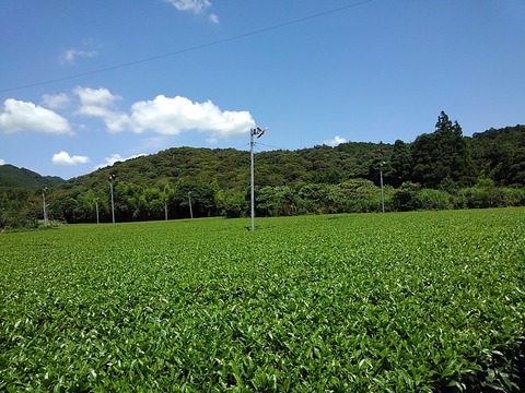 KIMG4517