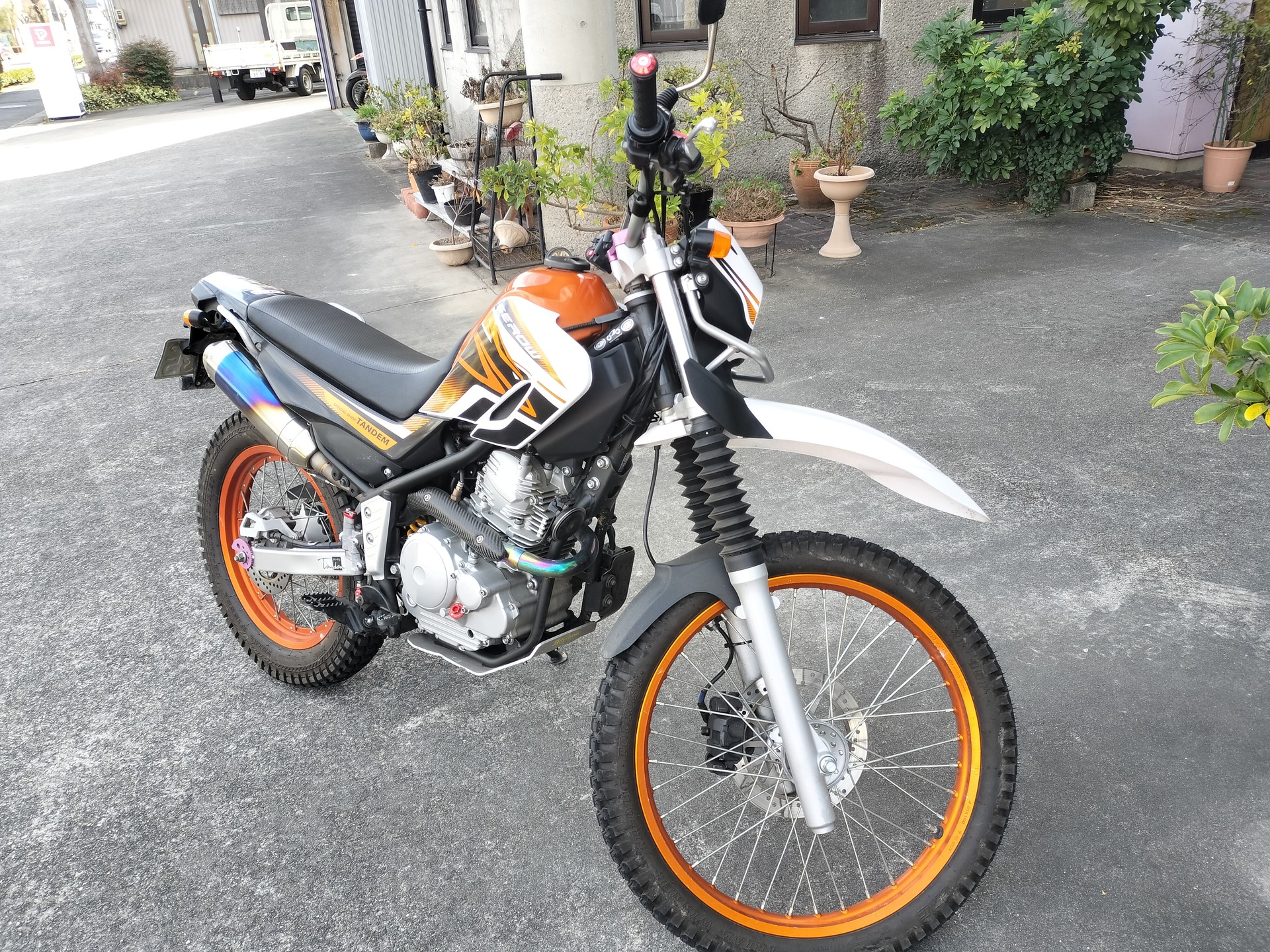 IMG20241225133734