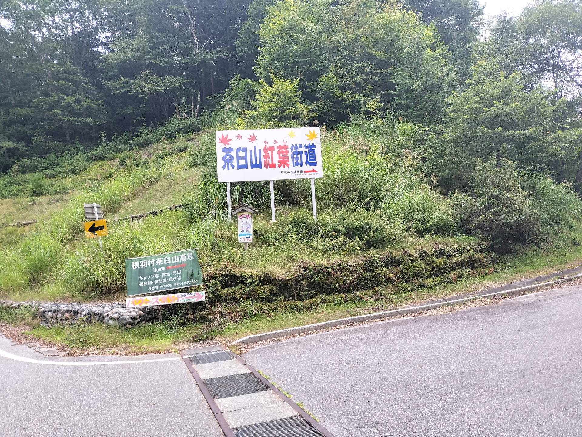 IMG20250824133330