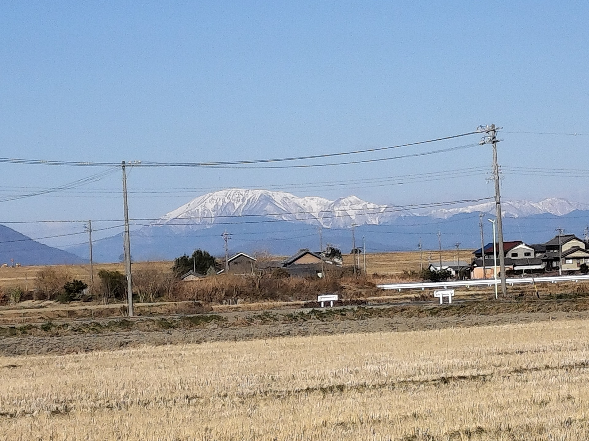 IMG20250125095918