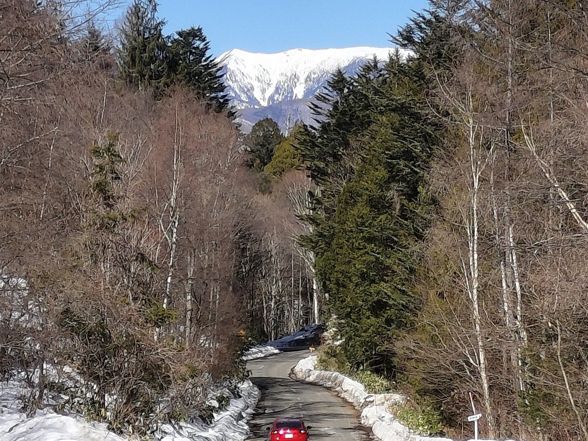 IMG20260221111419