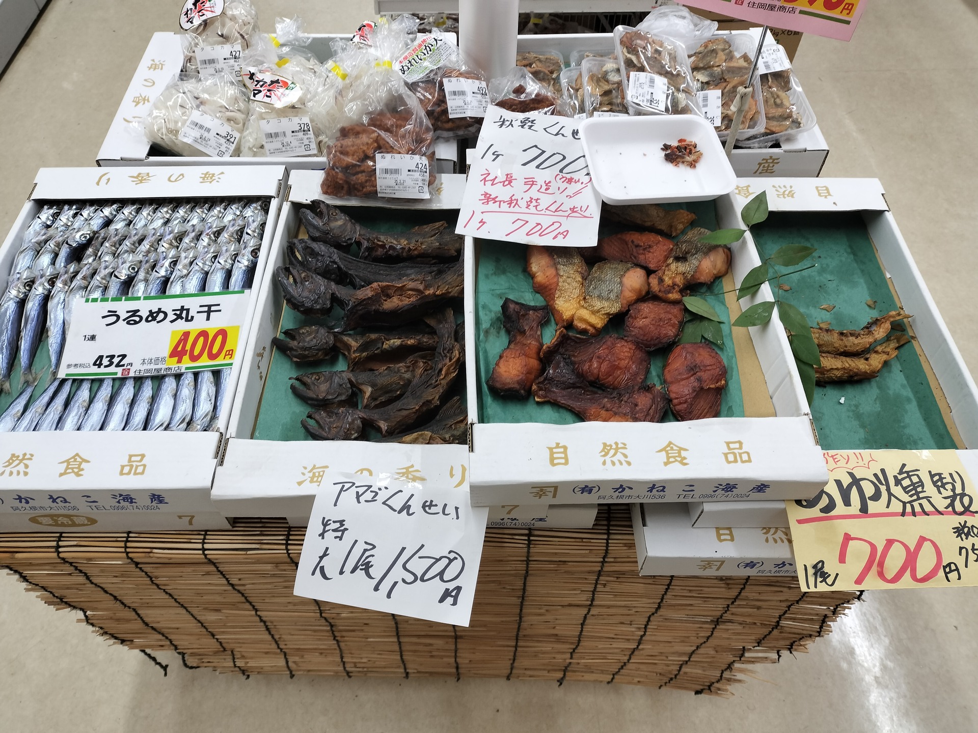 IMG20241124110959