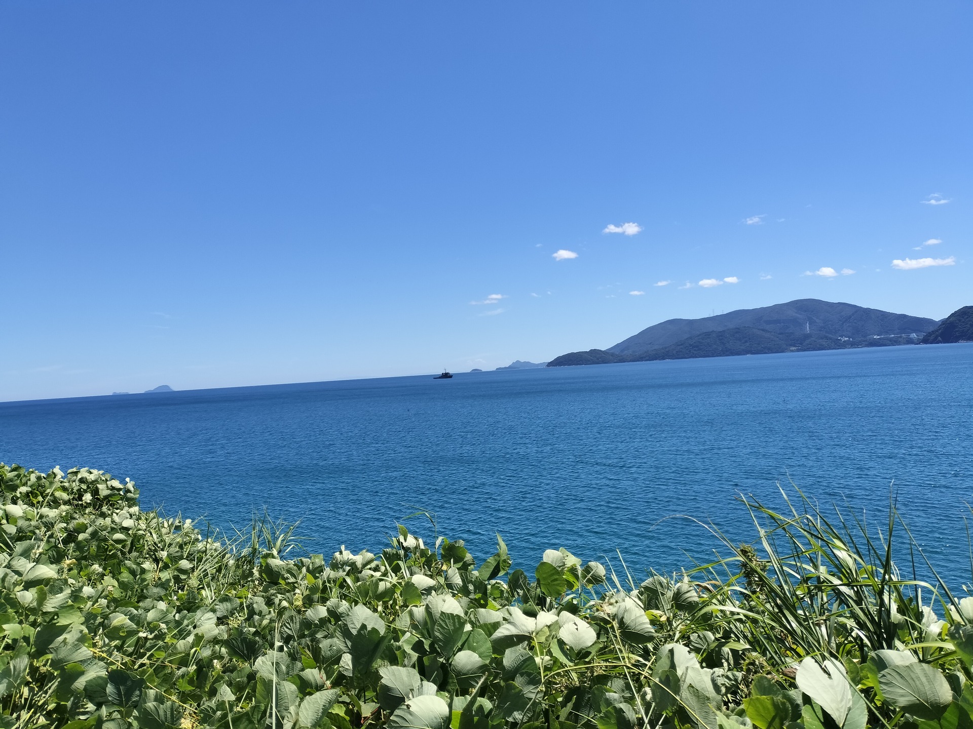 IMG20250726103243