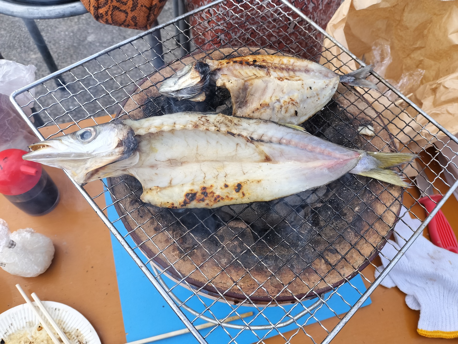 IMG20251229091506