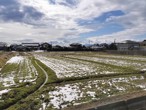 IMG20240128120533