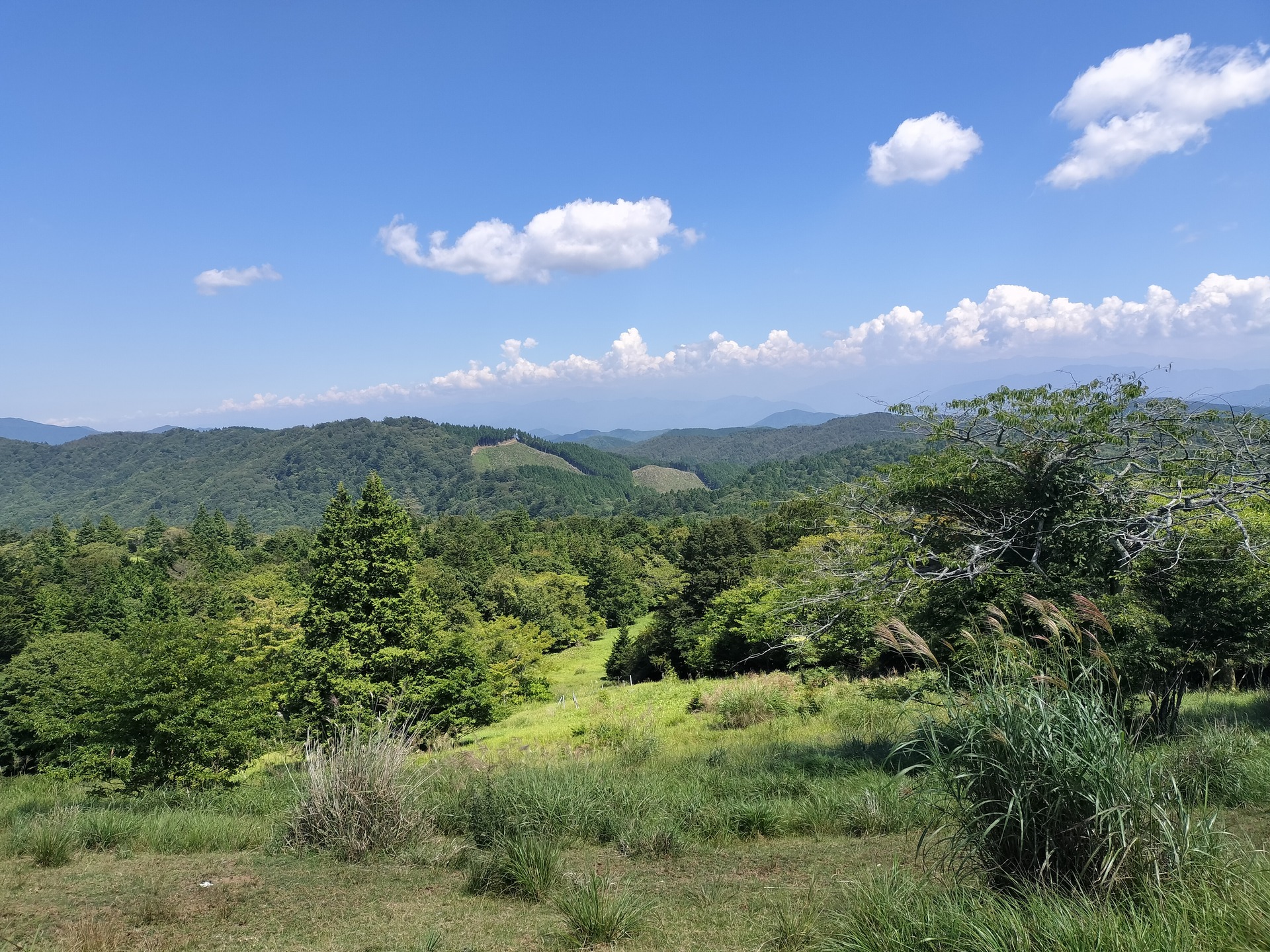 IMG20250831115504