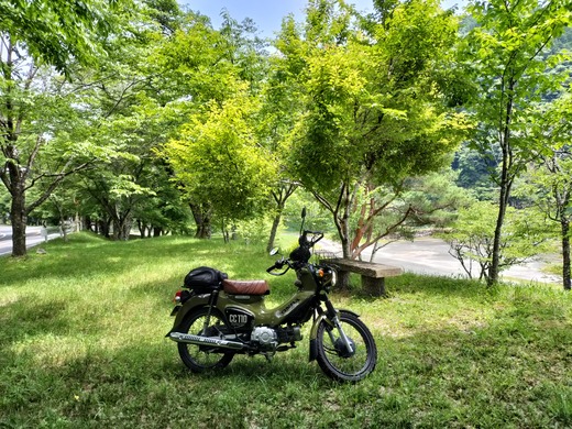 IMG20240622124038