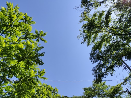 IMG20240525143456
