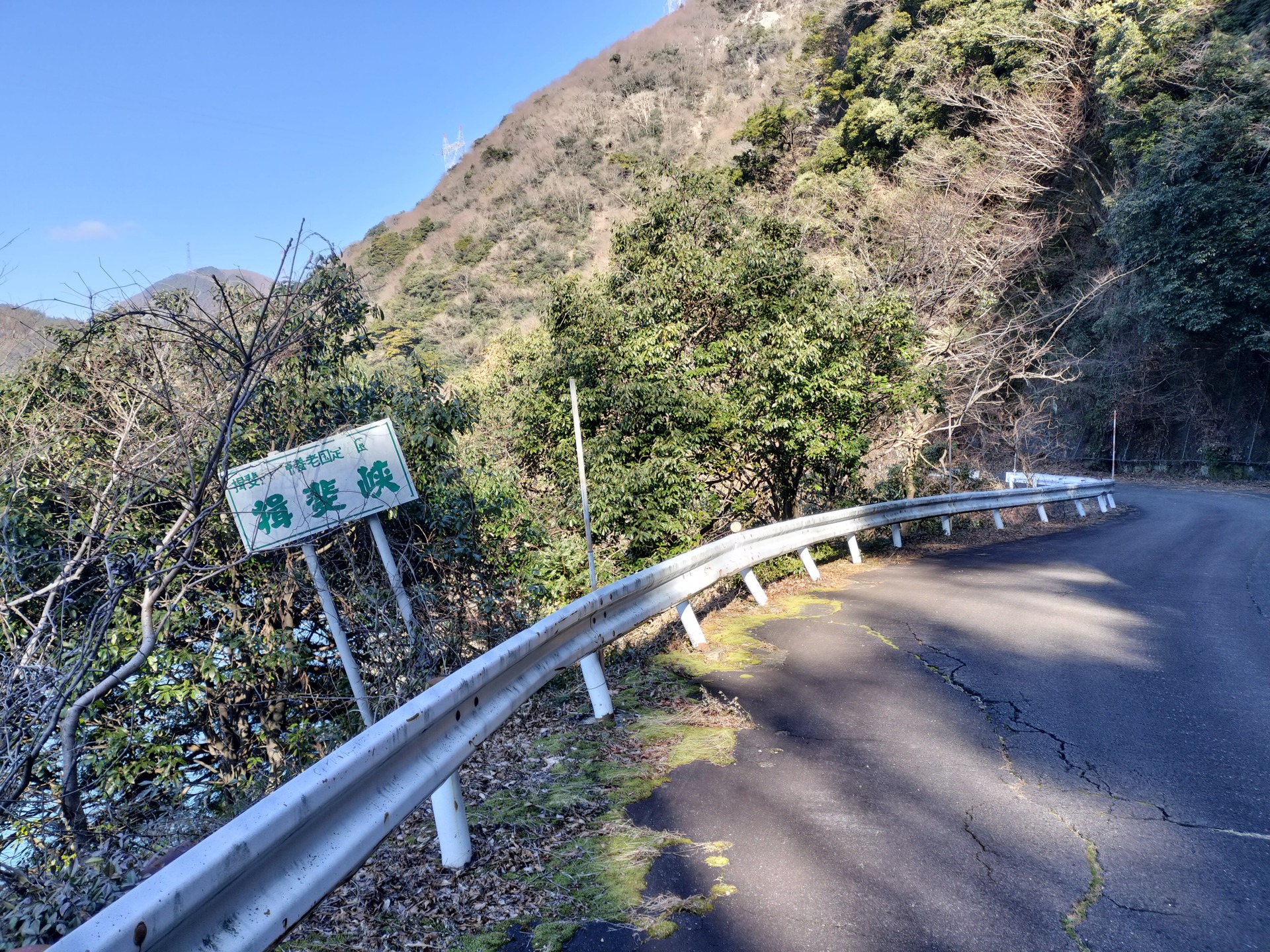 IMG20250125115607