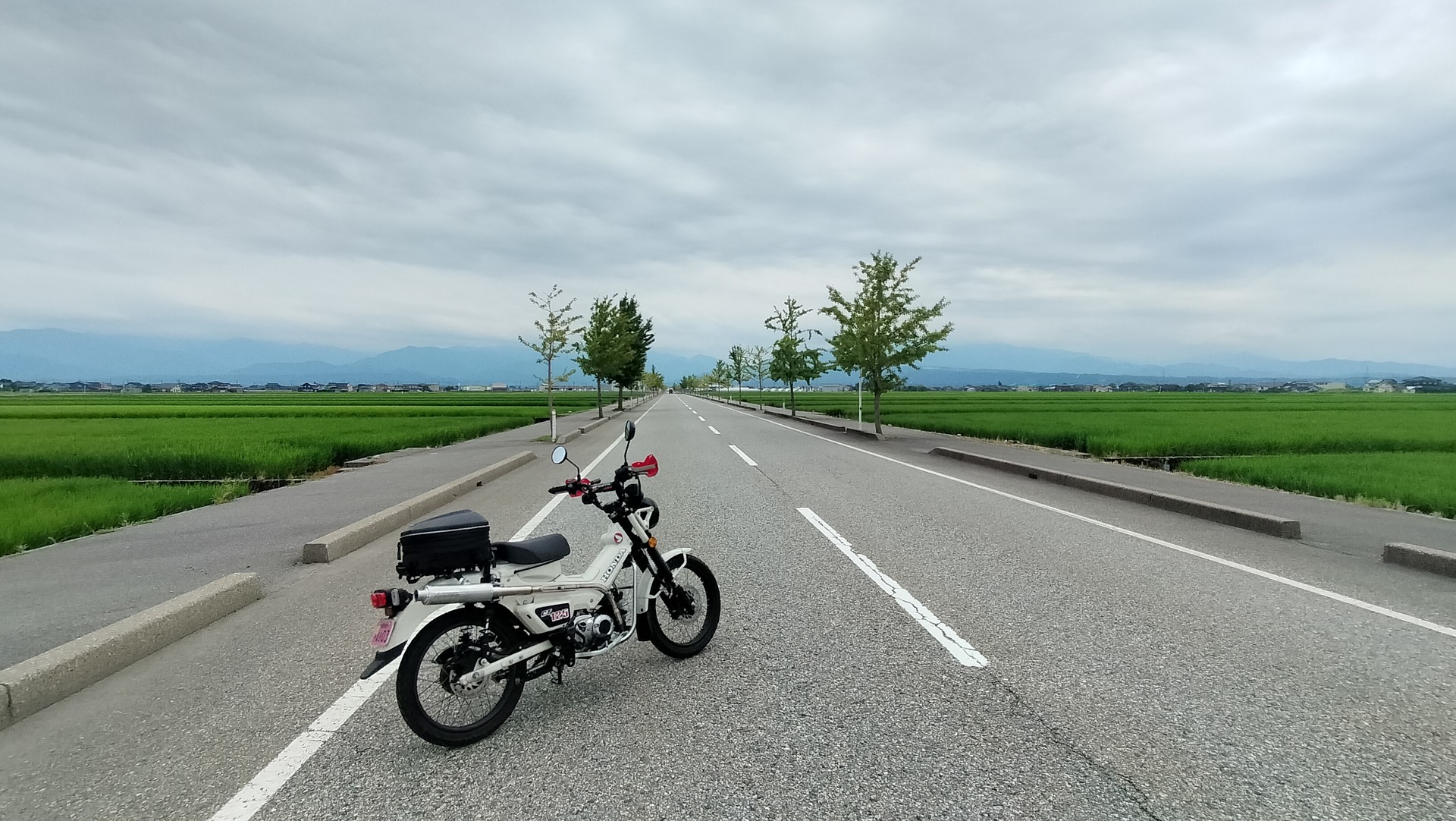IMG20260711160246