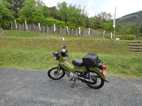 KIMG5539
