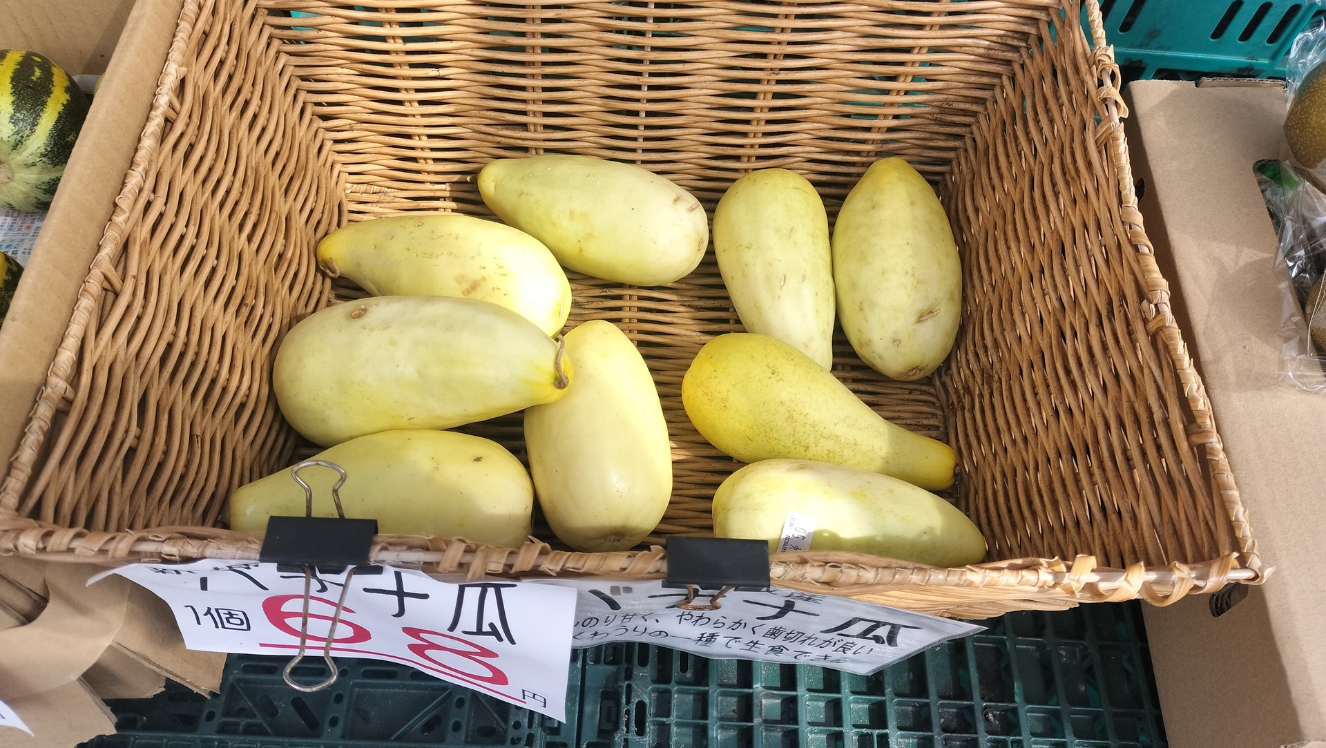 IMG20260719151150