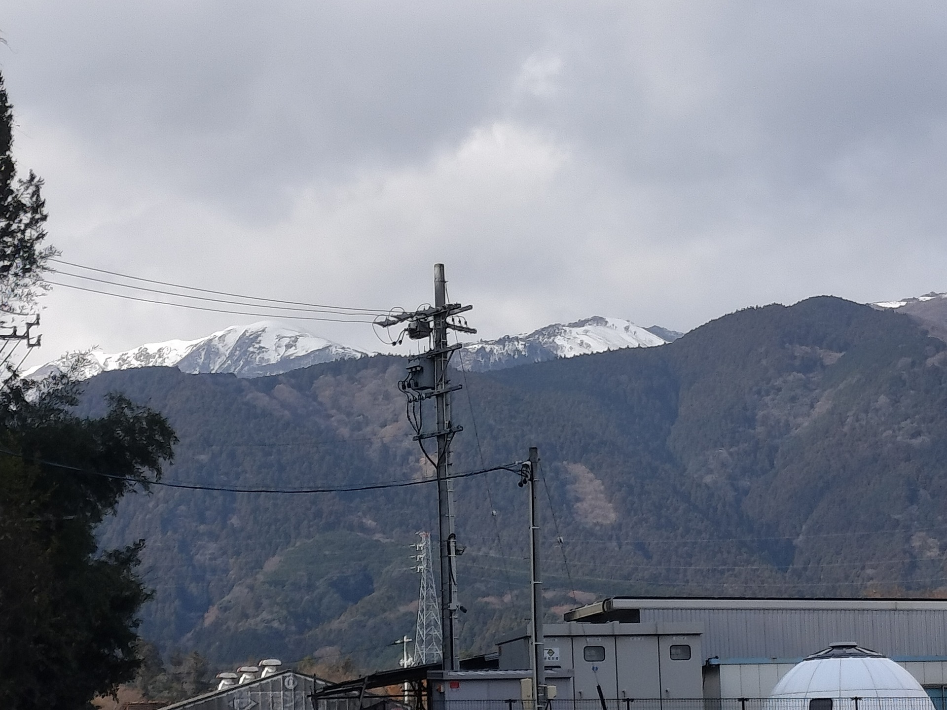 IMG20241230122432