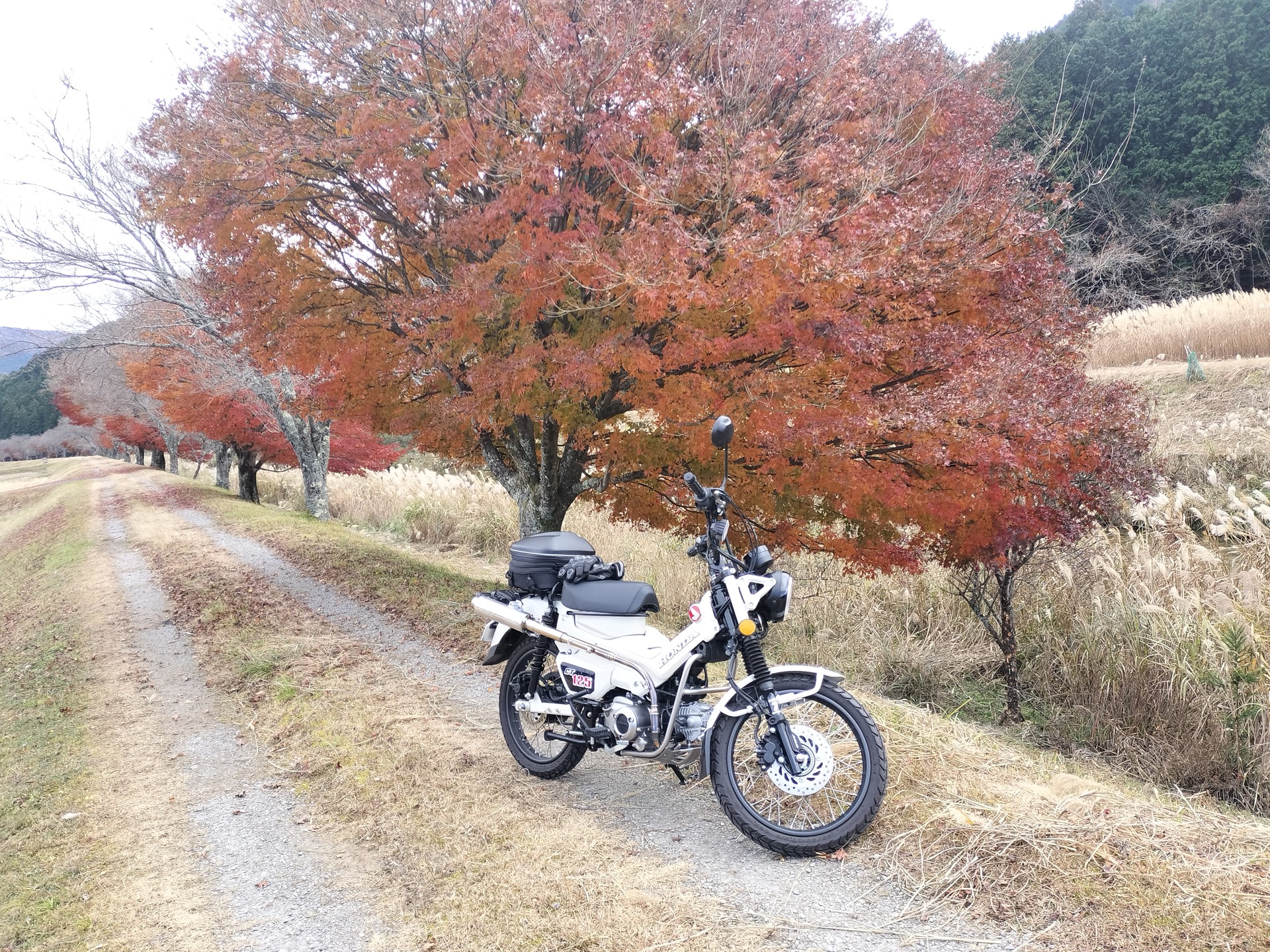 IMG20251124130711