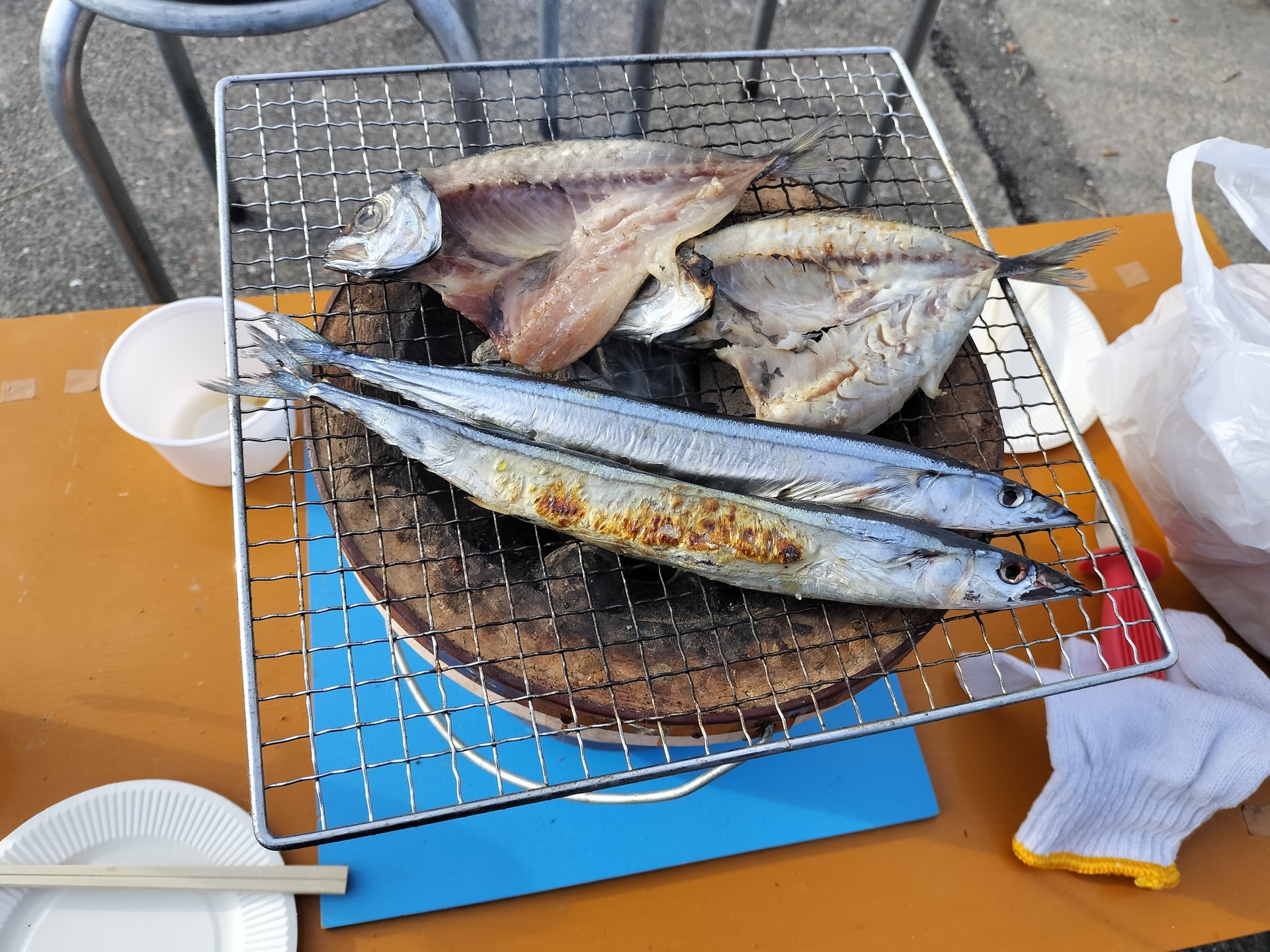 IMG20251229090025