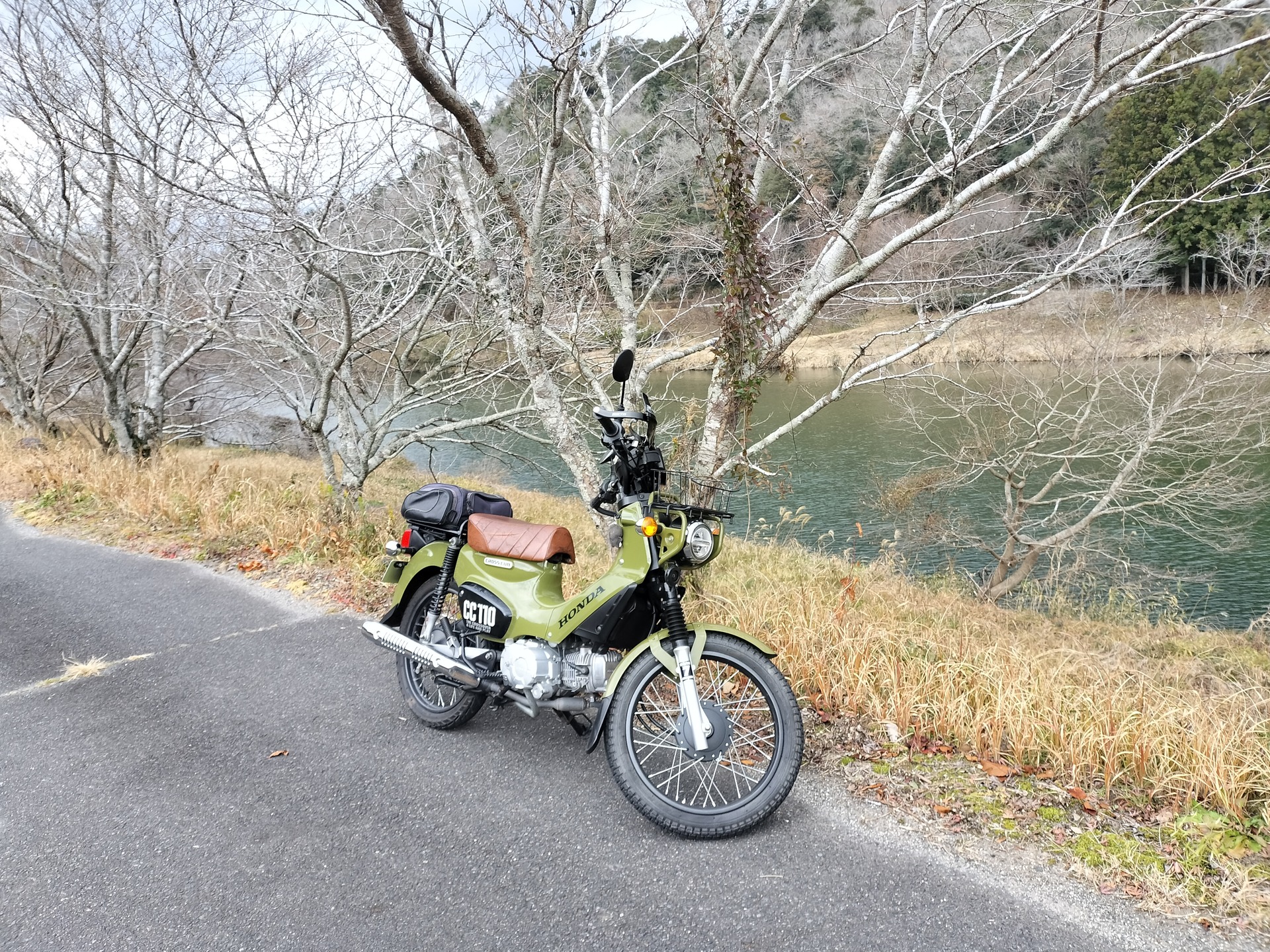 IMG20241231133512