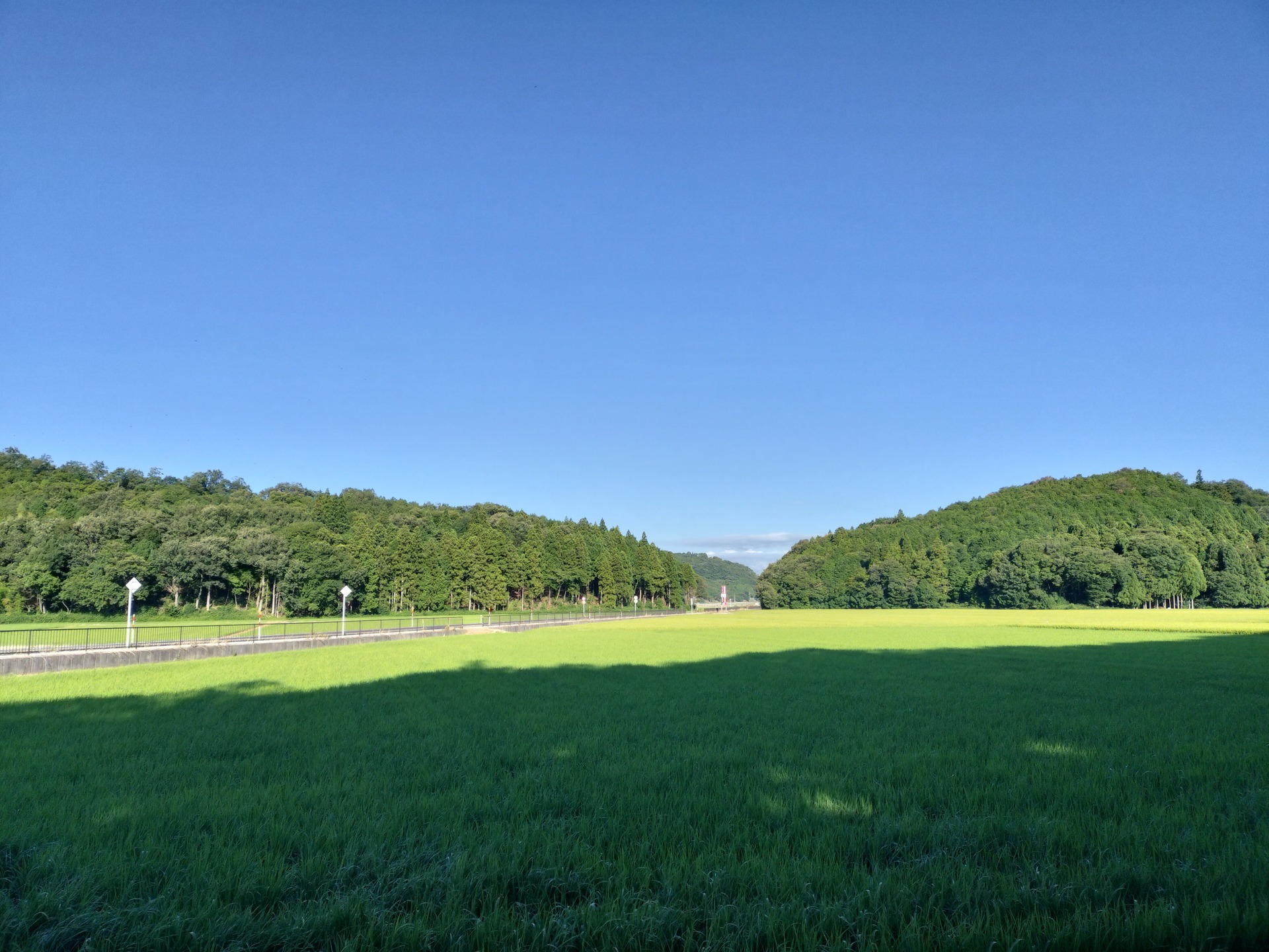 IMG20250726071339