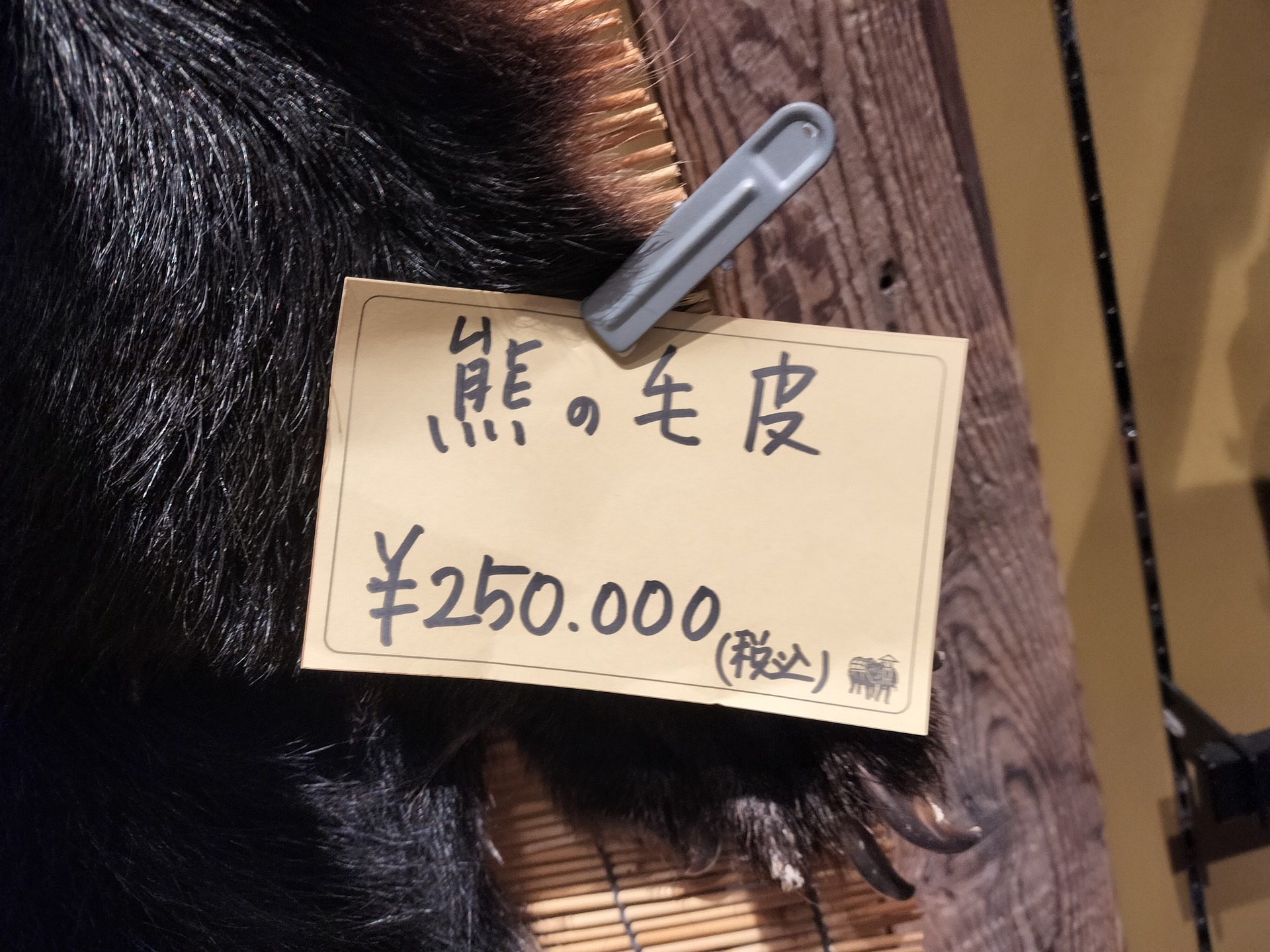 IMG20250830162454