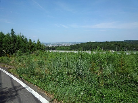 bd479f7d.jpg