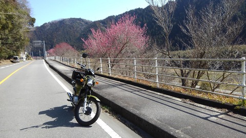 c5aade08.jpg