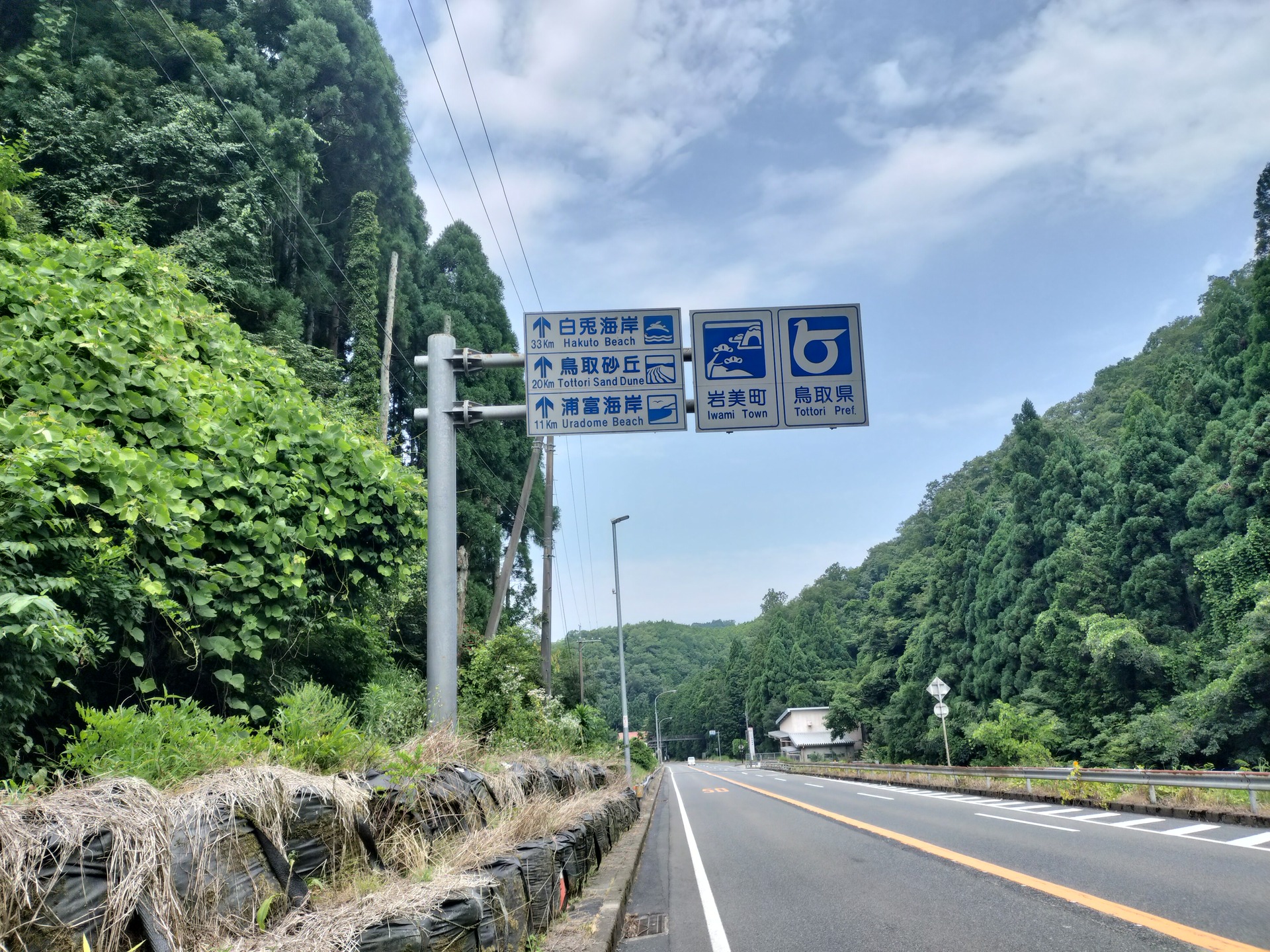 IMG20250705105004