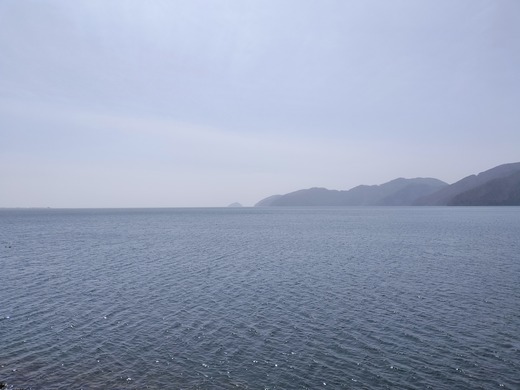 IMG20240330122612