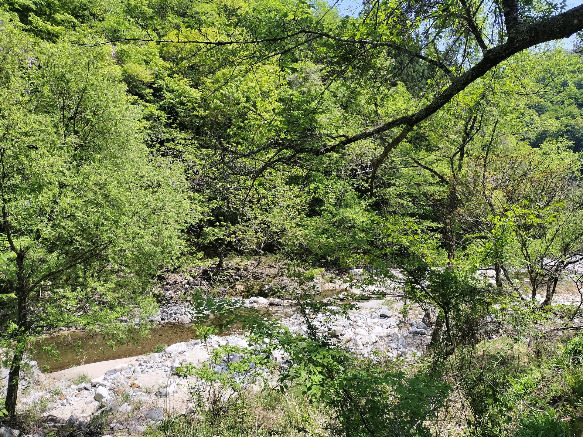 IMG20250427125336