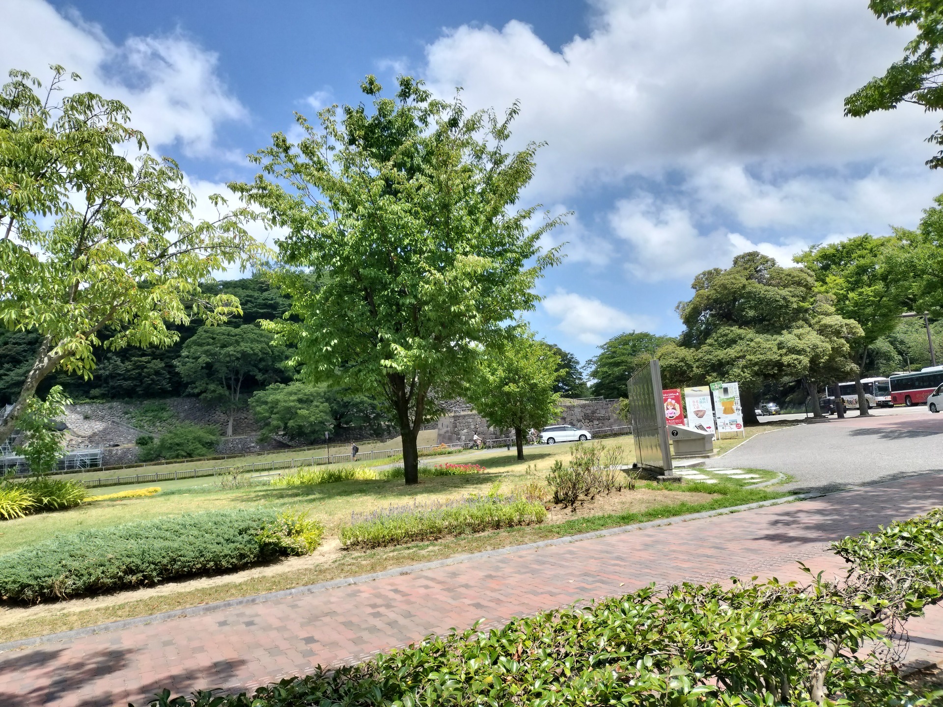 IMG20250802115315