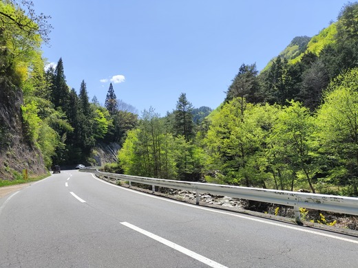 IMG20240428114240