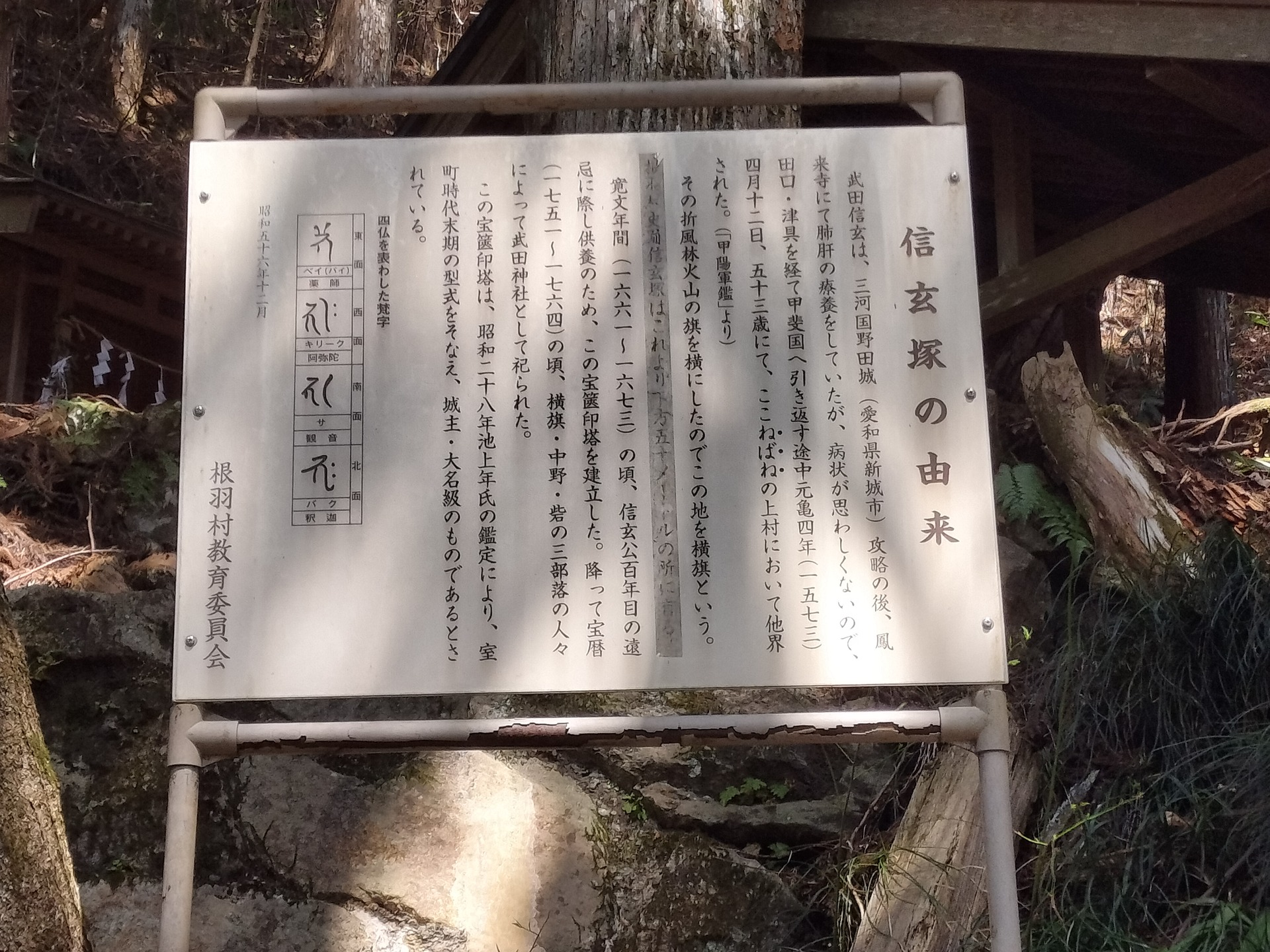 IMG20260329112713