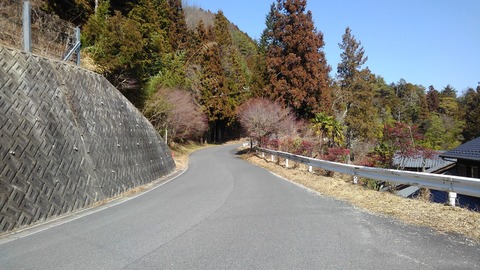 fd9b095b.jpg
