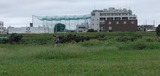 飛行場内に居る